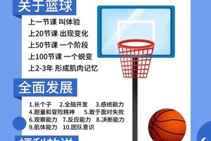  标题：哪里有提供篮球运动员智能健康分析的服务？全面解析与推荐